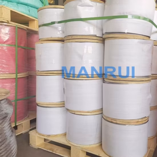 Inox Ss Antirust 304 7X19 3mm Stainless Steel Wire Aircraft Cable