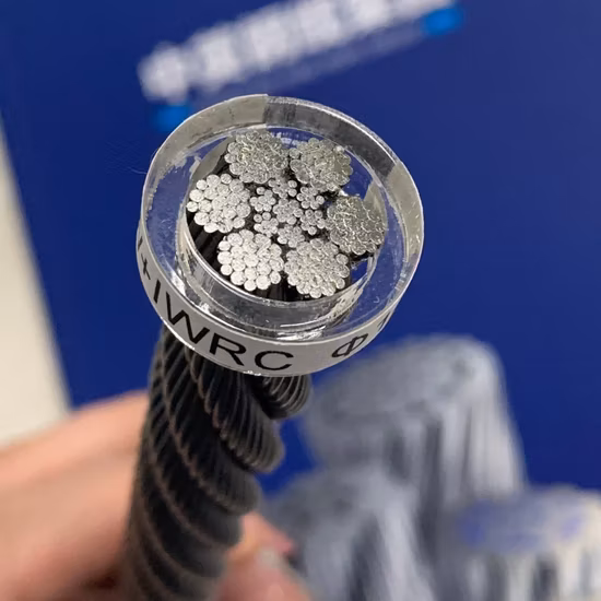 High Quality 6X19 6X19s 6X19+Iws Steel Cable Steel Wire Rope Galvanized Ungalvanized