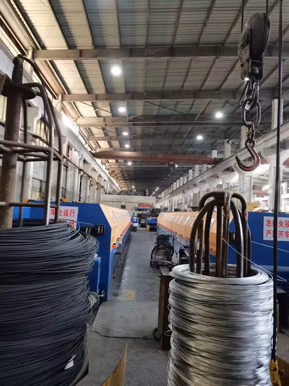 Stainless Steel Ungalvanized Galvanized Plastic Coated Cable Steel Wire Rope with All Different Construction for Automobile Motorcycle Crane Fence Medical